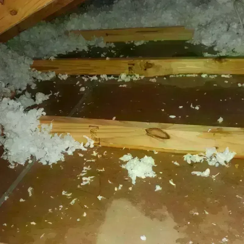 Attic Water Damage in Harrisburg, OR