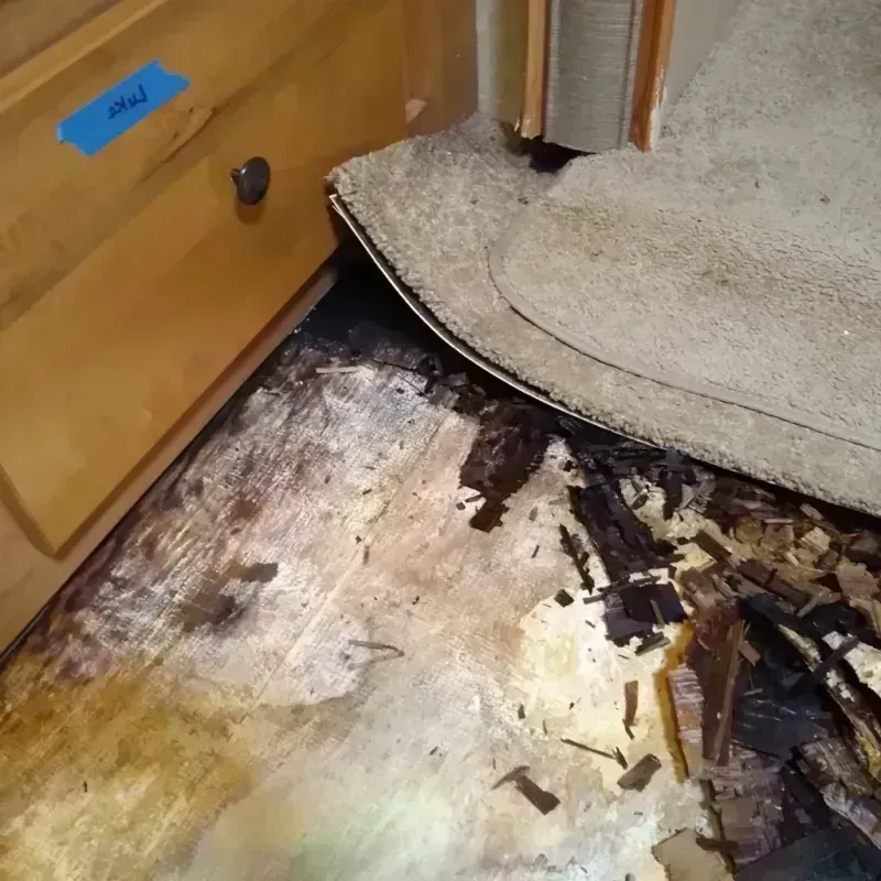 Best Wood Floor Water Damage Service in Harrisburg, OR